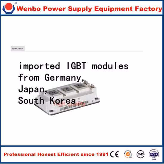 Raddrizzatore IGBT ad alta frequenza 12V 300A con raffreddamento ad aria