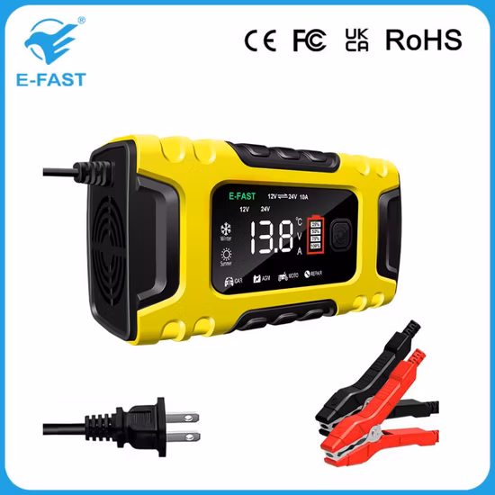 Caricabatterie intelligente per batterie al piombo acido 12V 24V AGM Efb con custodia in ABS